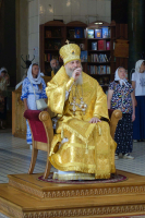 DSC00502